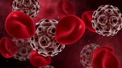 Hpv is a different virus than hiv and hsv (herpes). Visualization of HPV virus with red blood cells. Motion ...