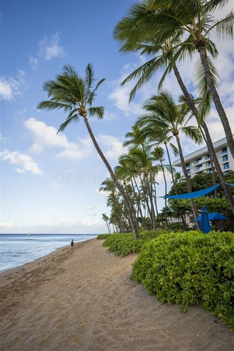 Early Morning On Ka Anapali Beach In Lahaina Maui Hawaii Stock Image