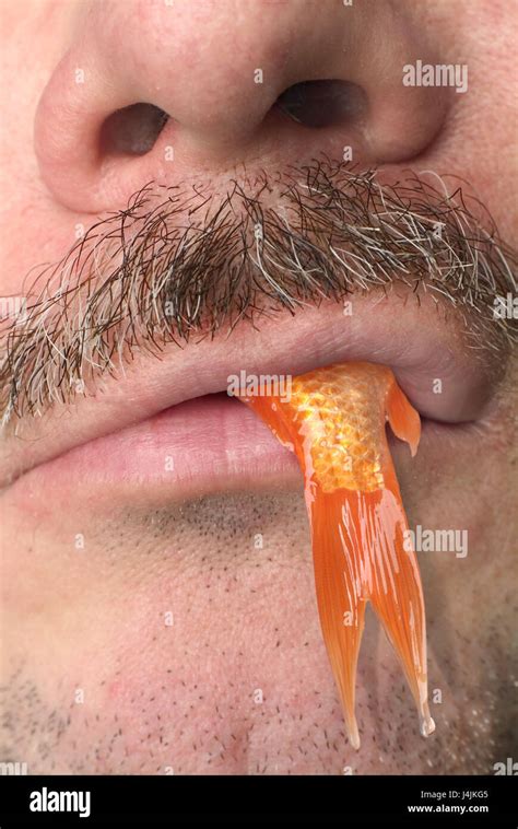 Man Mouth Goldfish Close Up Look Lips Beard Moustache Walrus