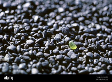 Black Lava Sand Beach With Green Olivine Gemstone Lanzarote Canary