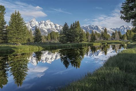 Body Of Water Surrounded With Grasses And Pine Trees Grand Teton