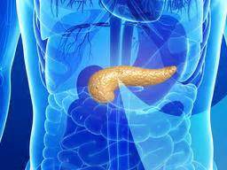 Pancreas: Functions and disorders