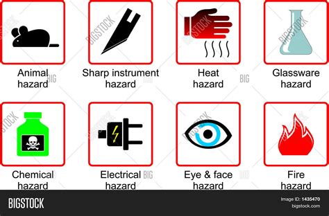 We did not find results for: Laboratory Safety Symbols Vector & Photo | Bigstock