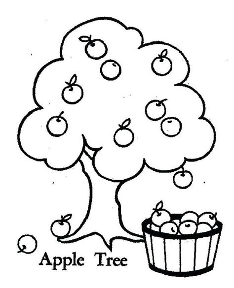 It's one thing to see it from one page to the next in the book, but to actually watch the seed sprout, tree grow, leaves rustle, and hear the birds, all in just under 2 minutes, really makes the pattern come alive! Apple Tree Coloring Pages | Apple coloring pages, Fruit ...