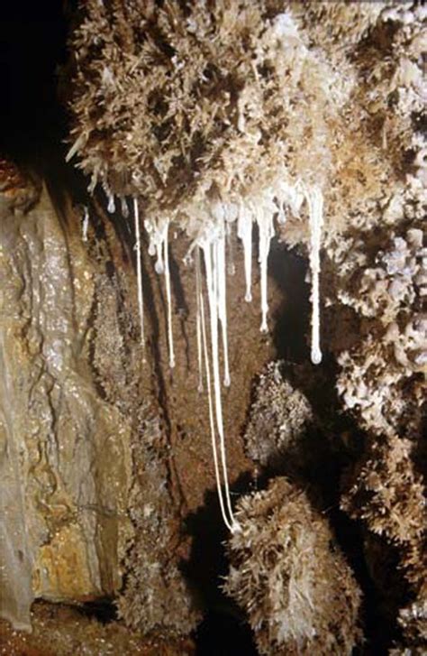 Snottites Slimy Dripping Stalactites Made Of Goo That Contain