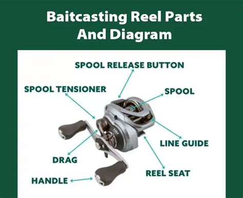 Baitcasting Reel Parts Name And Diagram Explained For Beginners