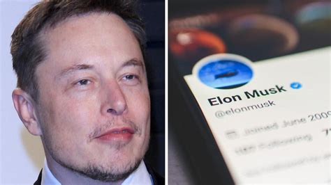 Elon Musk Just Seized Twitters Memes Of Production And Bought His Way