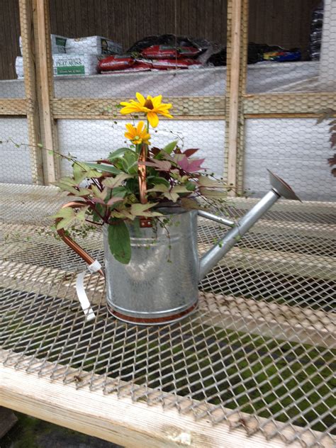 Watering Can With Fall Flowers Canning Fall Flowers Watering Can