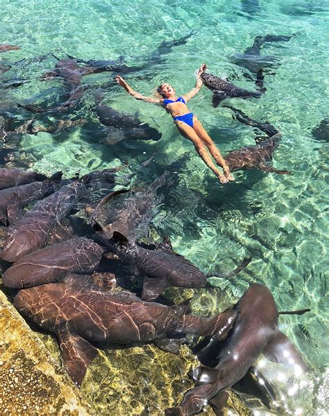 Model Katarina Zarutskie Gets Bitten By Shark While Posing For Photos