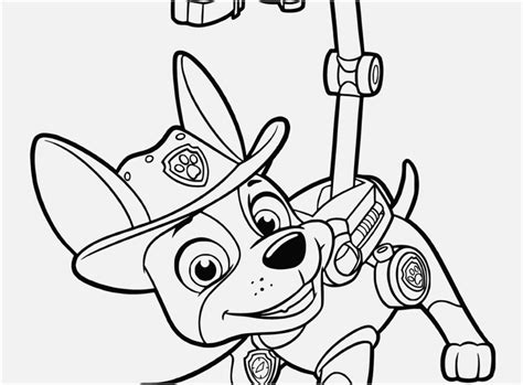 You can print or color them online at getdrawings.com for absolutely free. Paw Patrol Coloring Pages Pdf at GetDrawings | Free download