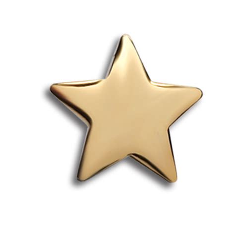 Gold Star Lapel Pins 10set Encouragement Rewards And Awards