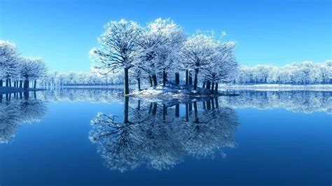 Winter Frosty Mirrored Sky Branches Clear Water Ice Cold Lake River