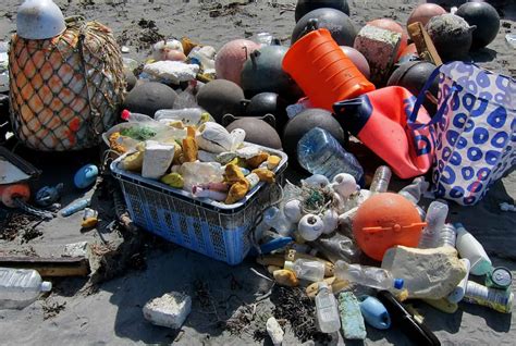 How Did 525 Trillion Plastic Pieces End Up In The Ocean