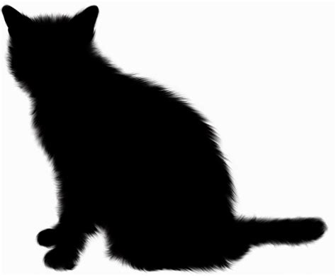 Silhouette Cat Free Stock Photo Public Domain Pictures