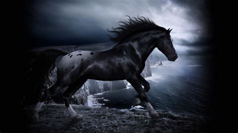 Cool Horse Wallpapers Group 75