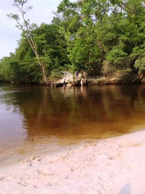 Industry:disinfecting/pest services, lawn service, lawn treatment, pest control. Shoal River, Crestview FL | Florida travel, Crestview ...