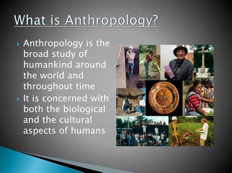 Ppt Introduction To Anthropology Powerpoint Presentation Free