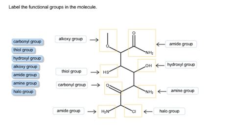 Solved Label The Functional Groups In The Molecule