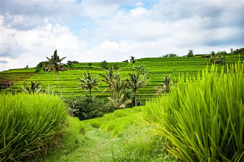 Bekasi followers menawarkan beragam kemudahan dan solusi untuk meningkatkan followers maupun likes instagram anda secara gratis. Gambar : pemandangan, bidang, tanah pertanian, halaman ...