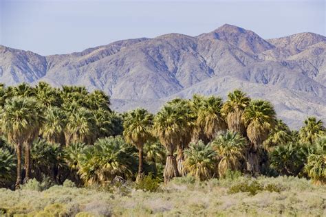 5 Must Hike Trails In The Coachella Valley