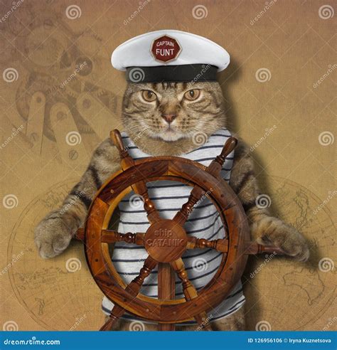 The Cat Is A Ship Captain Stock Photo Image Of Helm 126956106