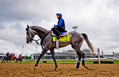 The latest in our series of quizzes set by british museums and galleries closed during the corona lockdown comes from derby museums. Wanna Win the Kentucky Derby? Get Your Horse Born on ...