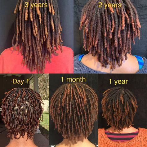 From Day 1 To 3 Years Dreadlocks