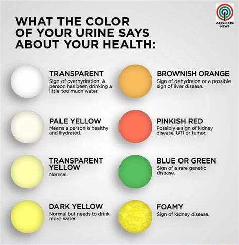 What The Color Of Your Urine Says About Your Health Transparent Sign Of Overhydration A Person