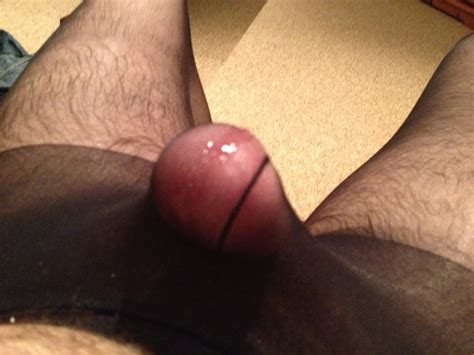 Photo In Gallery My Hard Cock Dick In Nylons Tights