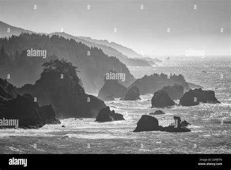 Sea Stacks And Coastline At Samuel H Boardman State Scenic Corridor