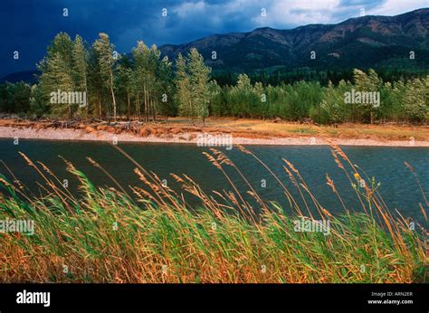 Elk River At Morrisey Hi Res Stock Photography And Images Alamy