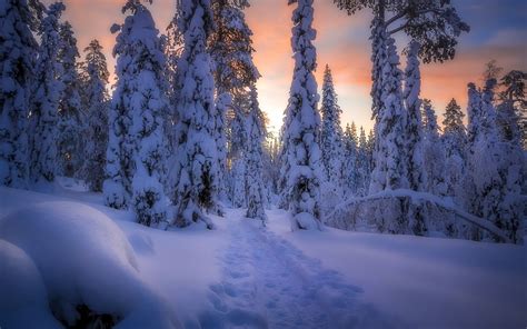 Download Wallpapers Winter Sunset Mountains Trees Snow Drifts