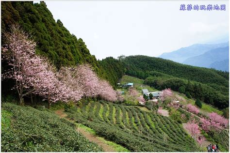 Jump to navigation jump to search. 北部賞櫻景點懶人包/台北、新北、桃園、新竹浪漫櫻花景點推薦 @ 蘇菲的玩樂地圖 :: 痞客邦