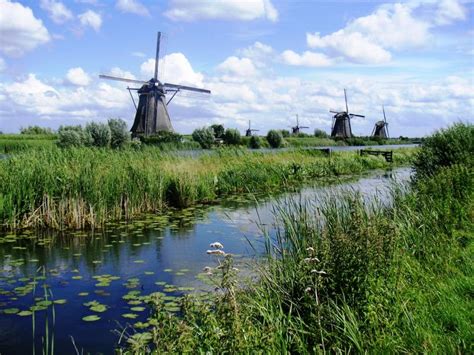 Kinderdijk y sus molinos