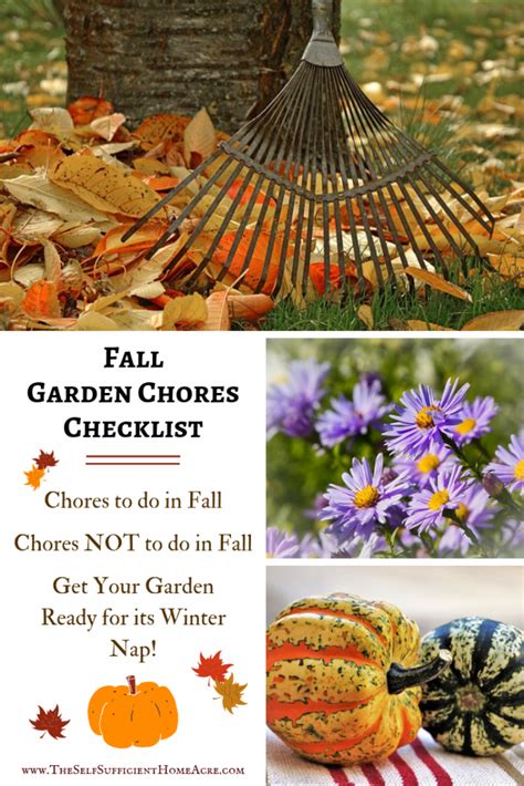 Fall Garden Chores Checklist The Self Sufficient Homeacre Garden