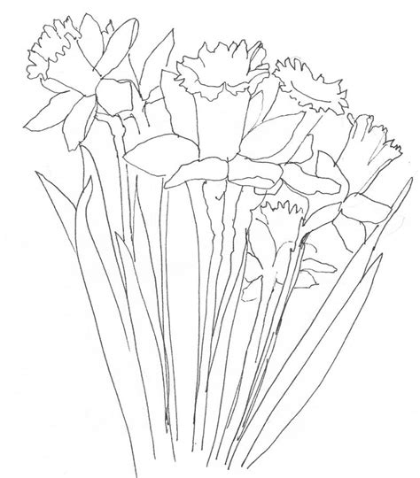 We did not find results for: Daffodil Line Drawing at GetDrawings | Free download