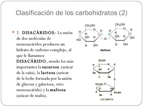 Carbohidratos