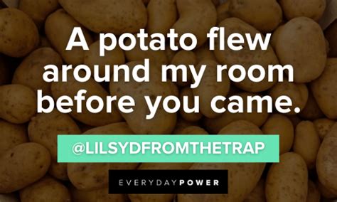Iconic Vine Quotes To Make You Lol Tech Ensive