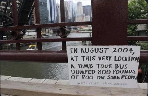 36 Hilarious Dave Matthews Band Chicago River Incident Puns