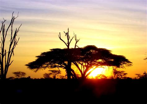 Sunrise In Africa Wallpapers Wallpaper Cave