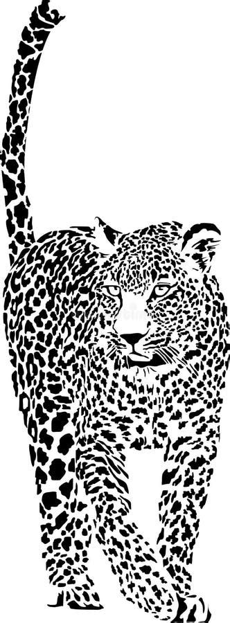 Leopard Stock Vector Illustration Of Nature Savannah 195533551