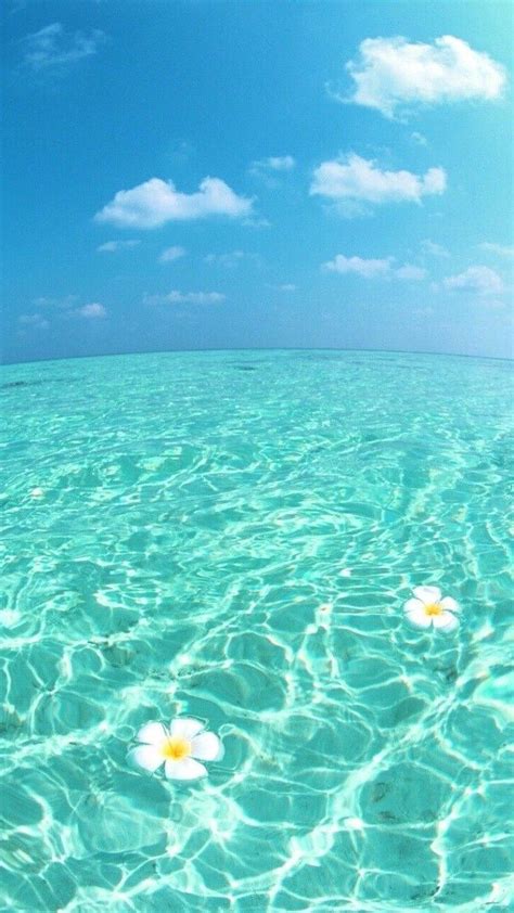Cute Ocean Wallpapers - Wallpaper Cave