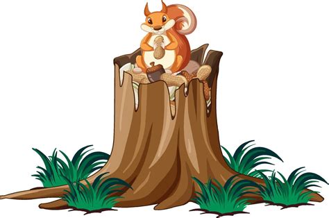 Cute Squirrel Eating Nut On The Stomp 7107843 Vector Art At Vecteezy