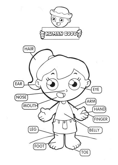 Exercicios Basicos De Ingles