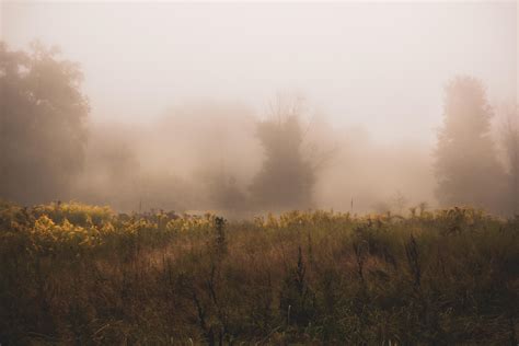 Foggy Mornings Will Always Be My Favorite And Im Ecstatic They Are