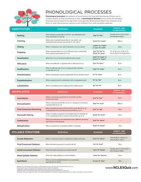 Phonological Processes Cheat Sheet Phonological Processes Phonology Speech Therapy Tools