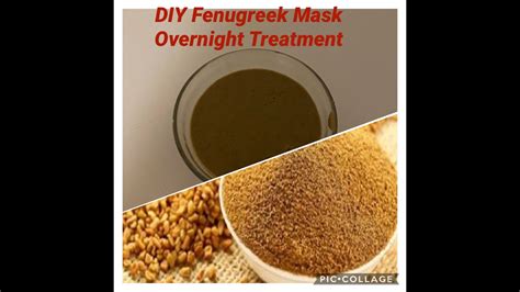 Fenugreek powder has important ingredients for natural hair growth. Fenugreek Paste| Faster Hair Growth| Overnight Treatment ...