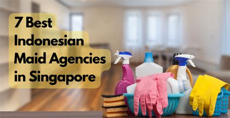 Best Indonesian Maid Agencies In Singapore The Singaporean
