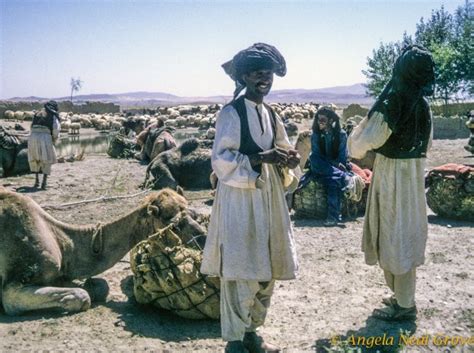 Afghan Nomads Ancient Way Of Life Has Been Destroyed By War