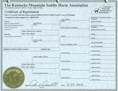 PEDIGREES – Rocky Mountain Horse Farm